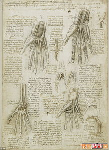达芬奇人体解剖素描手稿作品欣赏 6