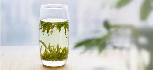 人类历史上最早的绿茶工艺经历了怎样的演变过程 绿茶叶加工始于何时
