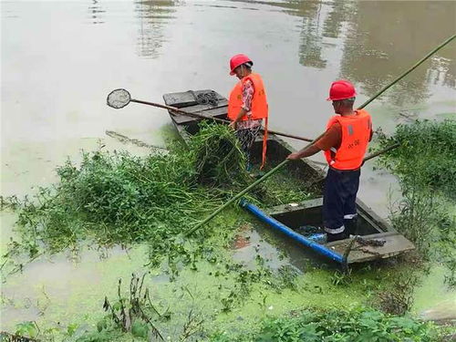 清理河道怎么清理的，如何更好的清洁河道