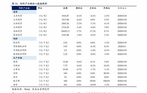 菲币兑换人民币计算,菲律宾货币兑换人民币的计价方法 菲币兑换人民币计算,菲律宾货币兑换人民币的计价方法 快讯