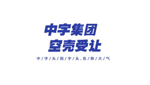 中字头集团公司,投资 控股 产业行业