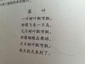 关于叶的诗句和诗歌