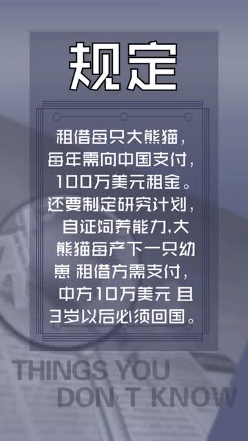 热门冷知识 其他国家想得到大熊猫有多难 