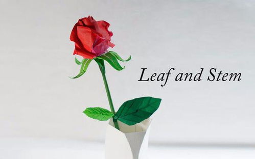微信发2朵玫瑰花含义,微信发送2朵玫瑰花的含义：含蓄而神秘的爱的表白