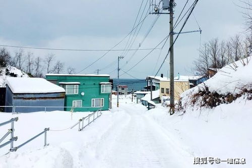 各地已经入冬,3个技巧教你拍出雪国大片