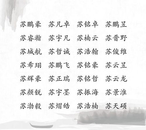 苏姓男孩顺口的名字