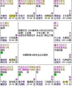 这个紫微命盘怎么样 有官运吗 人际关系怎么样 