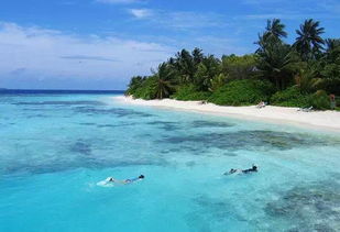 直播旅游马尔代夫在哪些地方最美