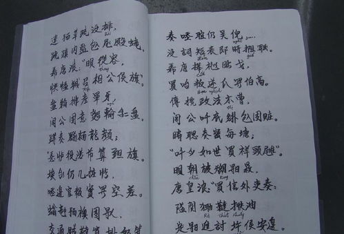 汉字改革是不是要废除现存的汉字而改用拼音文字(汉字必须改革)
