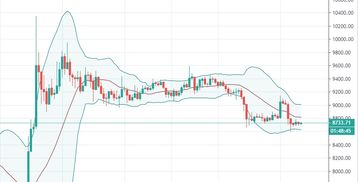  lunc币今日价格行情 币币情走势,Terra Classic浴火重生？LUNC涨势凶猛 单周暴涨160% 百科