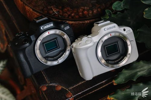 eos r50怎么连接手机,用wi-fi连接。