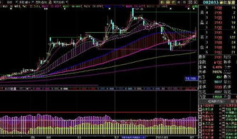 请教002316走势