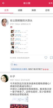 百合网婚恋网登录官网世纪佳缘