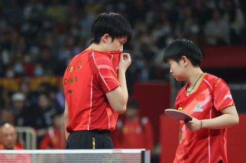 中国乒乓球实力排名,国际乒联更新世界排名，中国选手的排名如何呢？