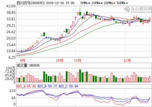 四川双马（000935）这只股票怎样