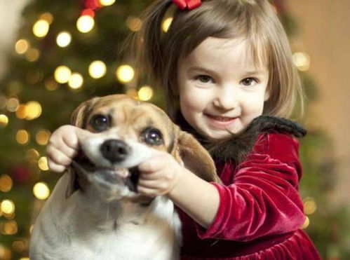 研究发现家里养狗的小孩少生病,你会养狗狗吗