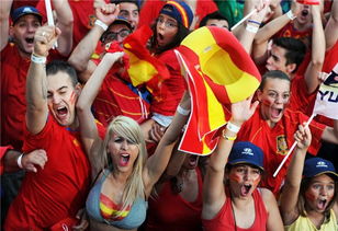 欧洲杯西班牙球迷赛后视频,西班牙球迷-第2张图片-安阳富翔贸易公司