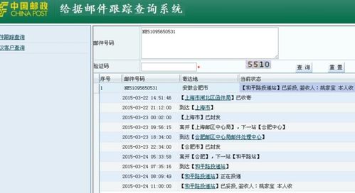 ne51095650531是哪家快递公司 