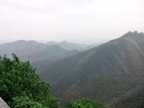 浙江 莫干山 下渚湖 游玩实用攻略 来袭