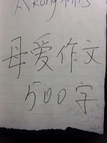 我学会了关心作文500字