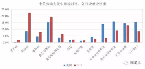 链条网带批发,业界概况 链条网带批发,业界概况 快讯