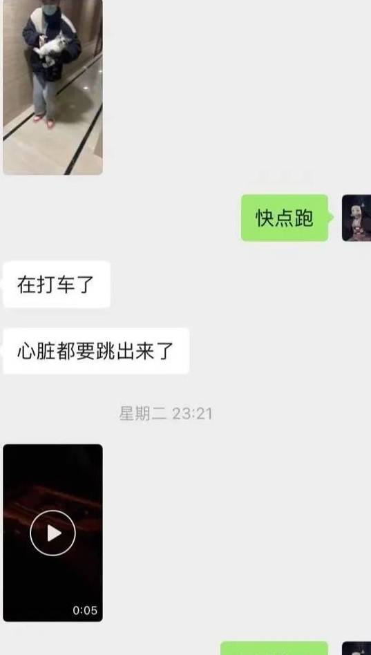 主人说给我找了个靠谱的领养人,结果这个人打断了我的腿