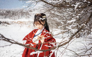 水浒风花雪月 (美人三国)