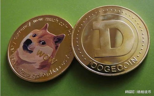 dogecoin币最新价格,狗狗币最新行情