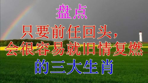 只要前任回头,就立马心软,会很容易就旧情复燃的三大生肖 