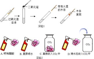 水是生命之源.是自然界中重要的物质. 1 图1装置可以探究水的组成.通电一段时间后.试管1中所收集的气体为氢气. 2 图2是某品牌净水器中的过滤芯.里面装有精细滤网 