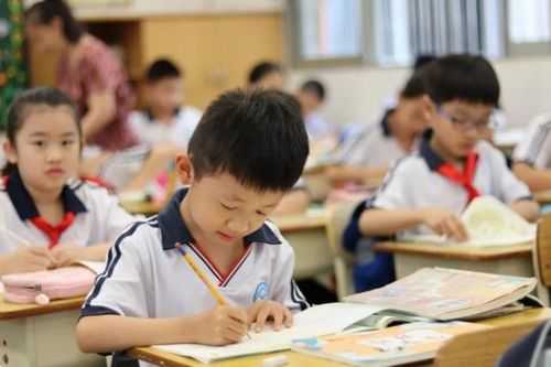 中小学 周六上课 已成定局 教育部给出明确回应,家长态度不一