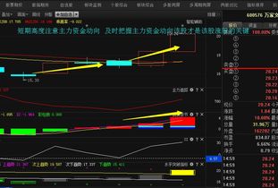 600576万好万家这支股票为什么会涨的这么快