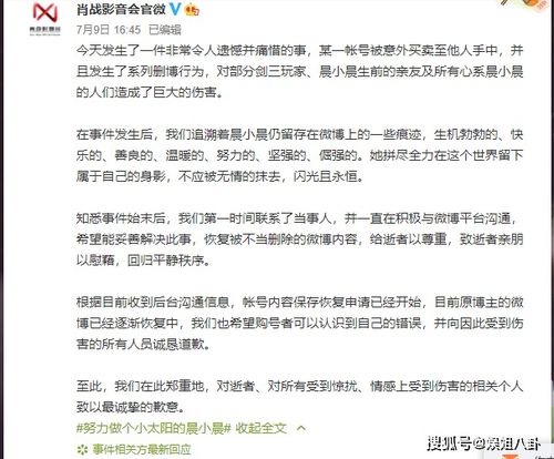 晨小晨没去世 无边桃炎向肖战粉丝道歉 会删除对你们误解的博文