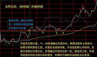 股票散户是如何交易的