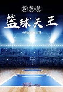 篮球娱乐天王txt下载,篮球娱乐天王x免费下载