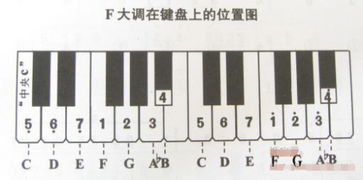 电子琴指法有哪些,学电子琴的指法-第3张图片