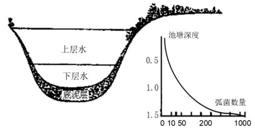 对付弧菌难道只有杀菌消毒这一个办法吗