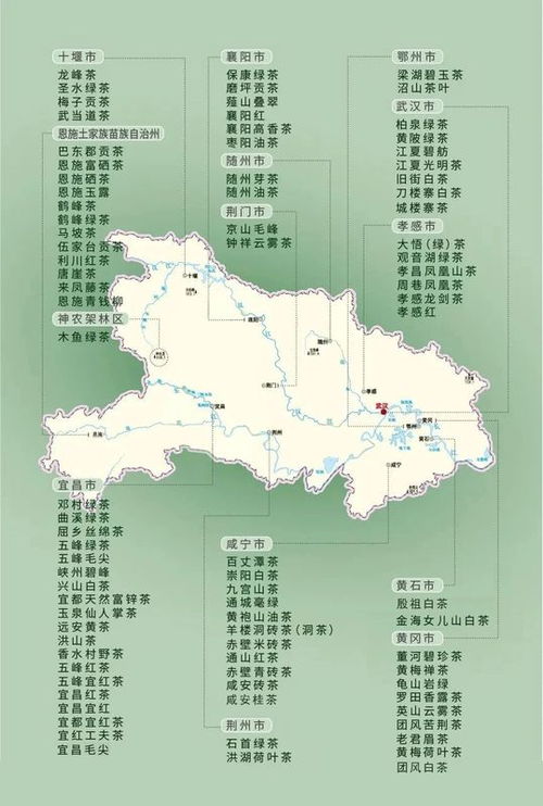 2023年电影热度top榜