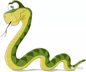 邵阳市区一居民家中惊现两米长蛇 就问你怕不怕