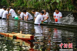 多彩贵州网 珠三角迎来龙舟季 广州400岁老龙船 起床 