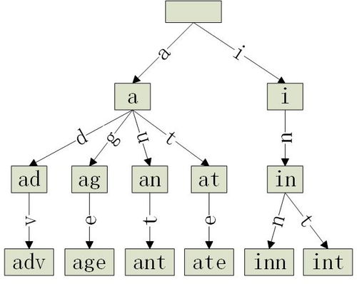 什么叫前缀树,书的各部分“器官”都叫什么名称？
