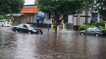 青春正能量 一场雨把我困在这里,你温柔的逆行很让我暖心