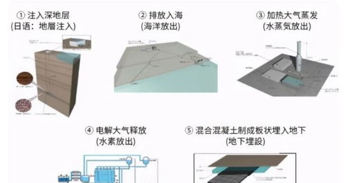 专家表示面对核废水海洋无法自净,建议采用俄罗斯氢弹消除计划