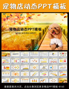 宠物医院宠物店宠物PPT动态模板下载 6.97MB 营销策划PPT大全 商务办公PPT 