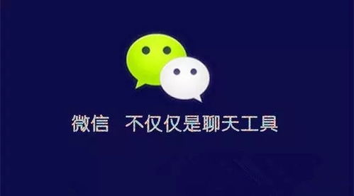 微信公众号前期怎么吸粉