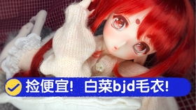 BJD 家里养了6年的崽崽 小柚子