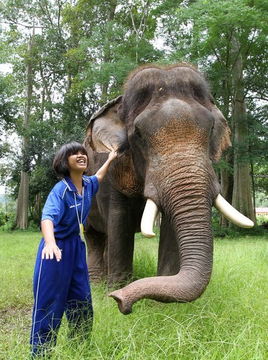 泰国大象治疗计划激发残疾儿童能力 