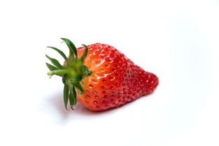 小草莓是什么意思