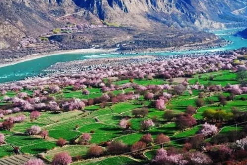 新疆 最牛县城 走红,号称 世界级旅游地 ,一县可品4国风情