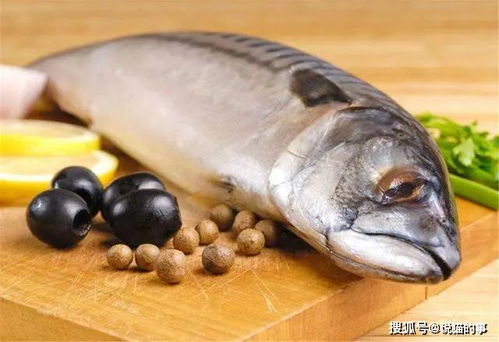 告诉家里人 经常吃鱼好处多,但这2个部位别吃,毒素多危害大